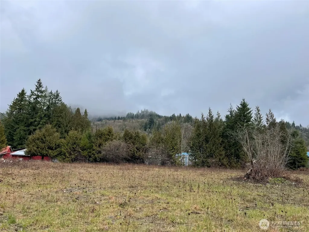 45075 Cedar Street Concrete WA 98237