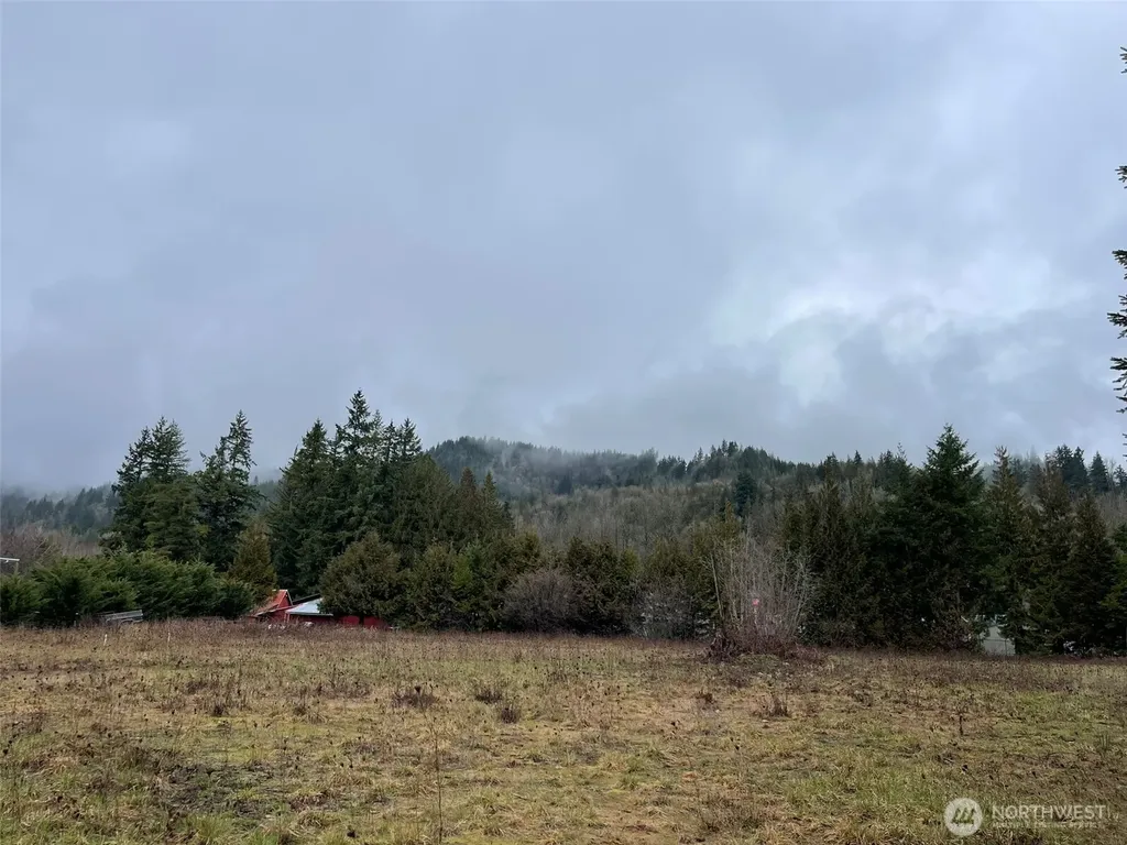 45075 Cedar Street Concrete WA 98237