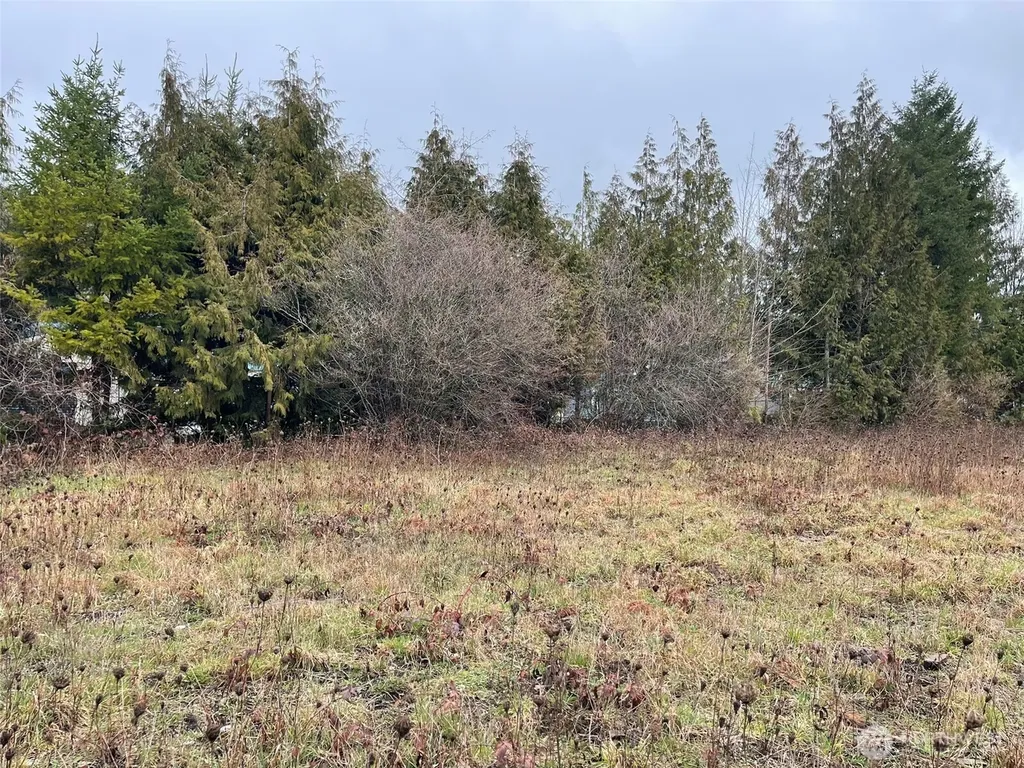 45075 Cedar Street Concrete WA 98237