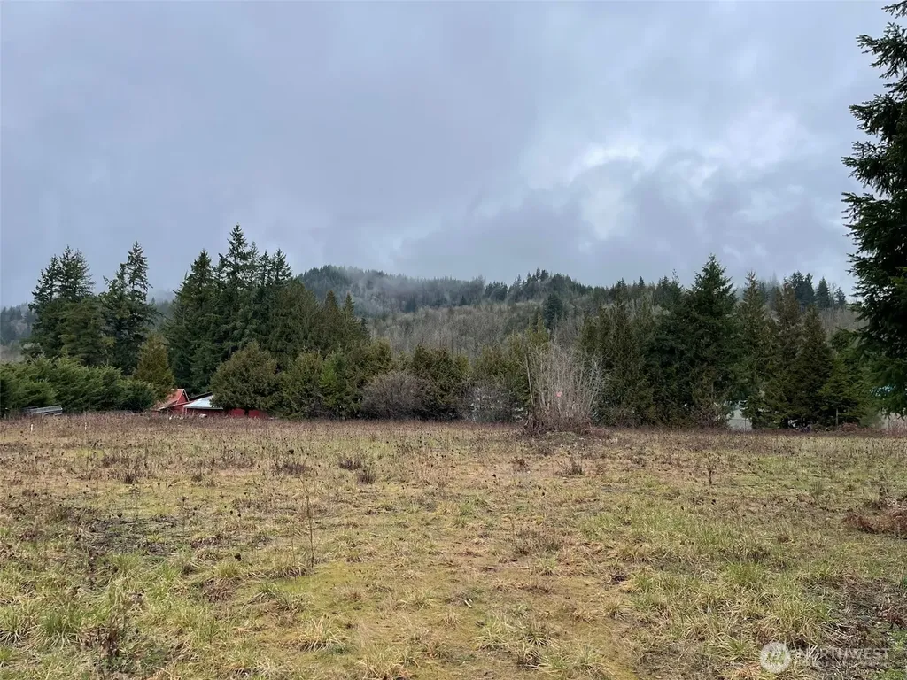 45075 Cedar Street Concrete WA 98237