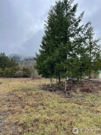 45075 Cedar Street Concrete WA 98237