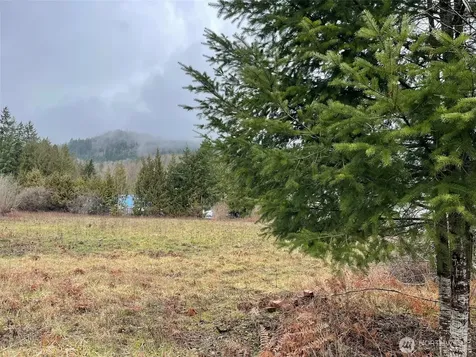 45075 Cedar Street Concrete WA 98237