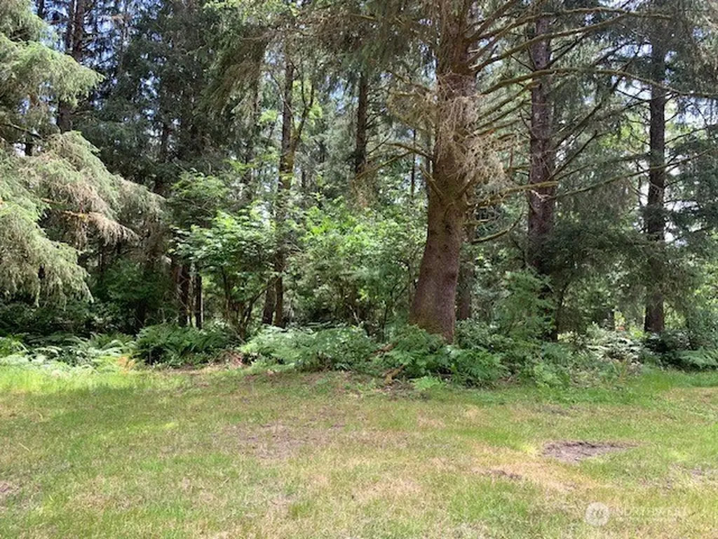 35208 Stackpole Road Ocean Park WA 98640