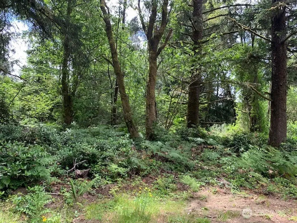 35208 Stackpole Road Ocean Park WA 98640