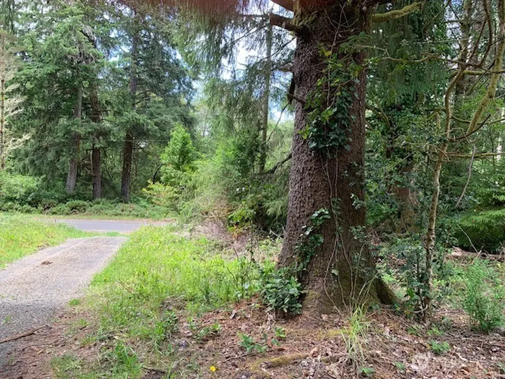 35208 Stackpole Road Ocean Park WA 98640