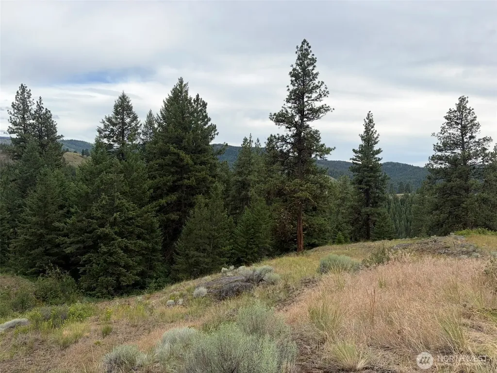 184 N Lambert Lane Republic WA 99166