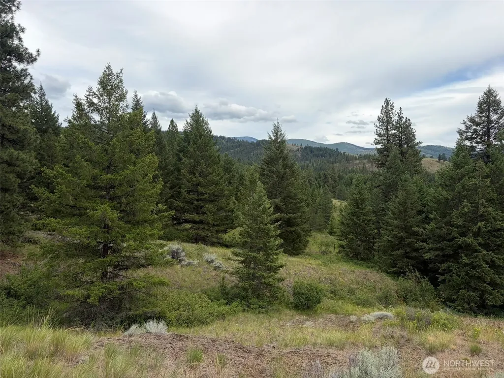 184 N Lambert Lane Republic WA 99166