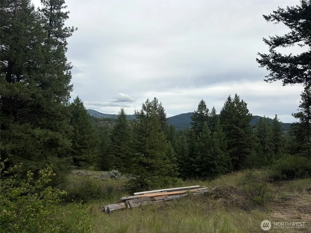 184 N Lambert Lane Republic WA 99166