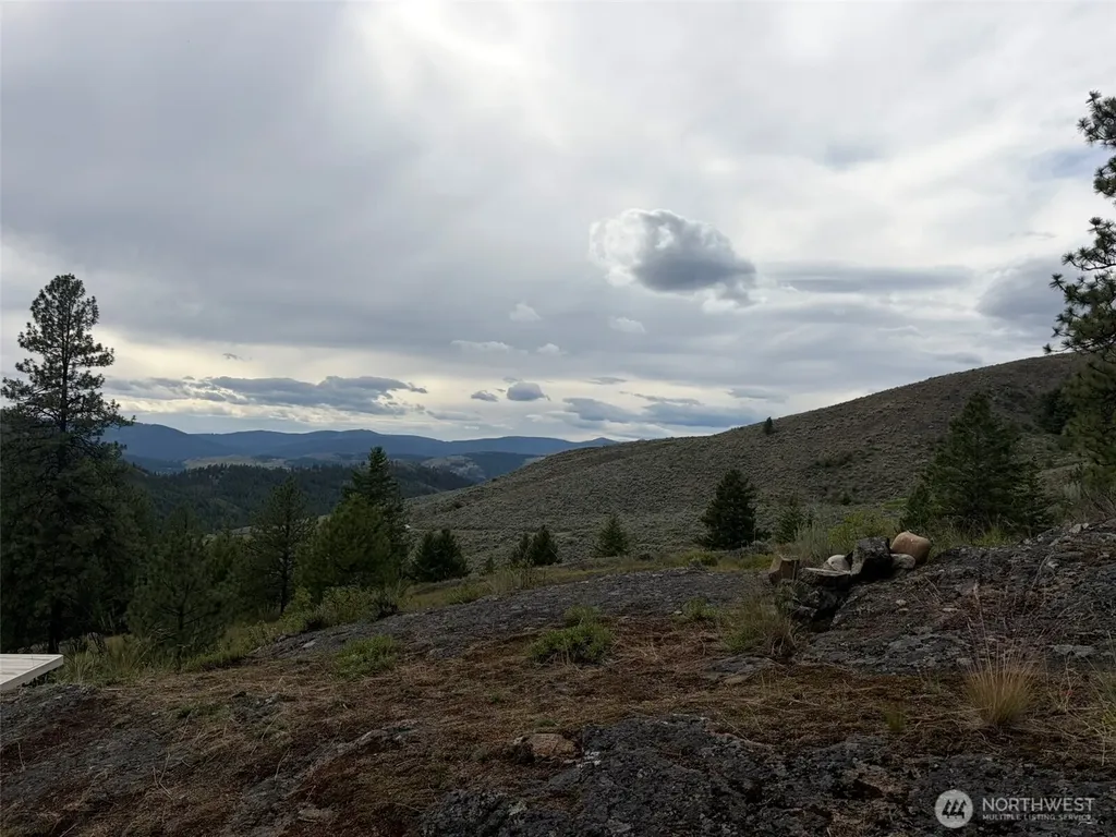 184 N Lambert Lane Republic WA 99166