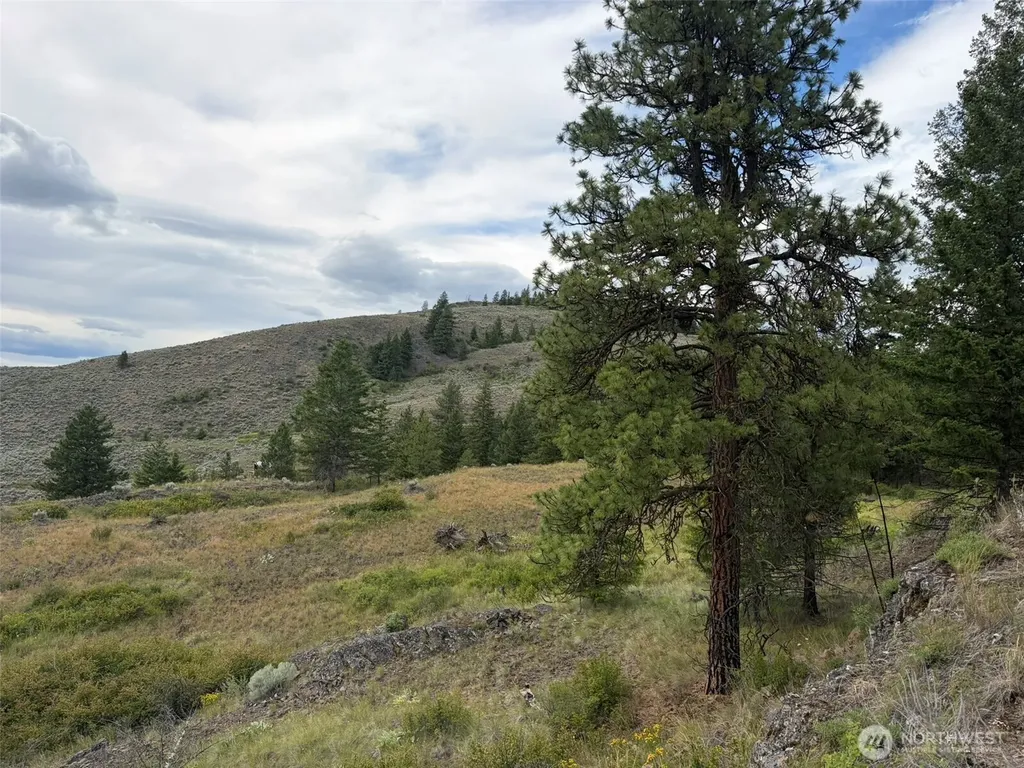 184 N Lambert Lane Republic WA 99166