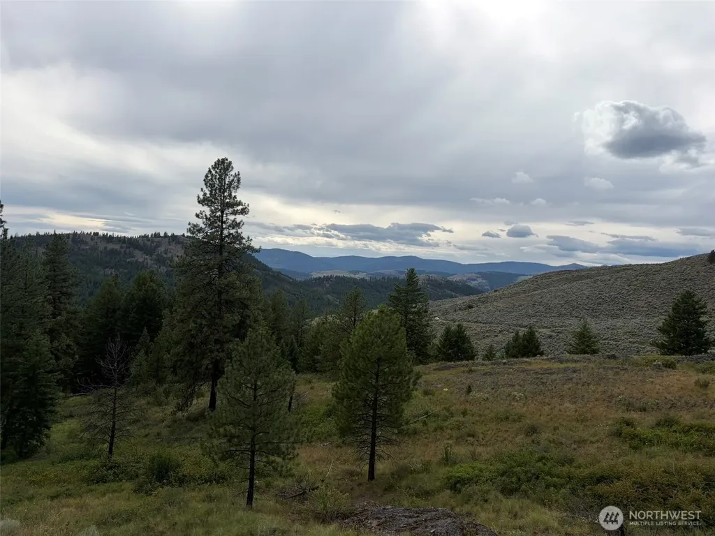 184 N Lambert Lane Republic WA 99166