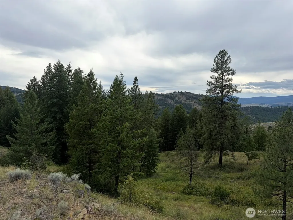 184 N Lambert Lane Republic WA 99166