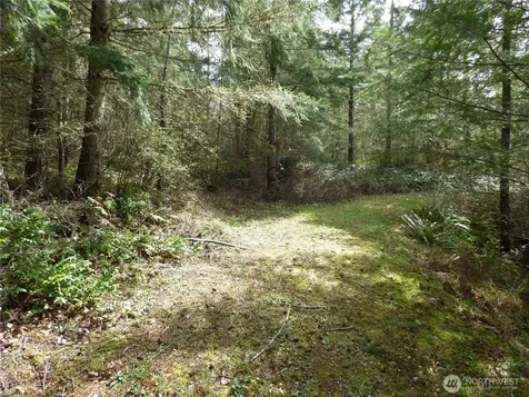 17012 226th Street Ct E Orting WA 98360