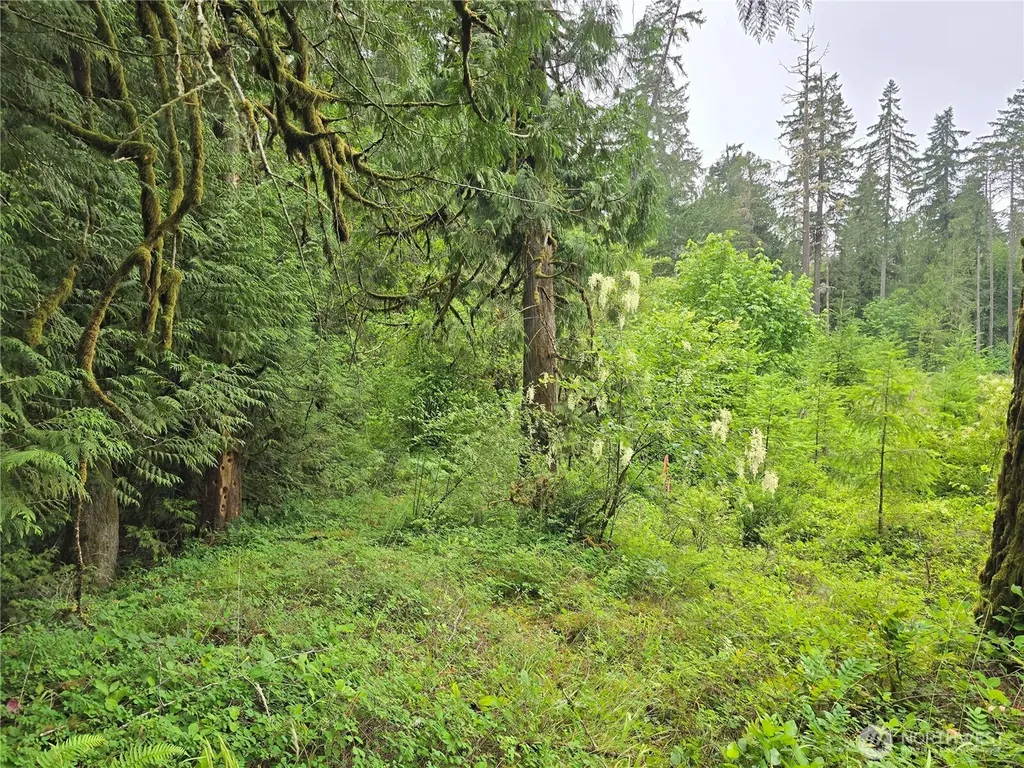 123 N Us Highway 101 Shelton WA 98584