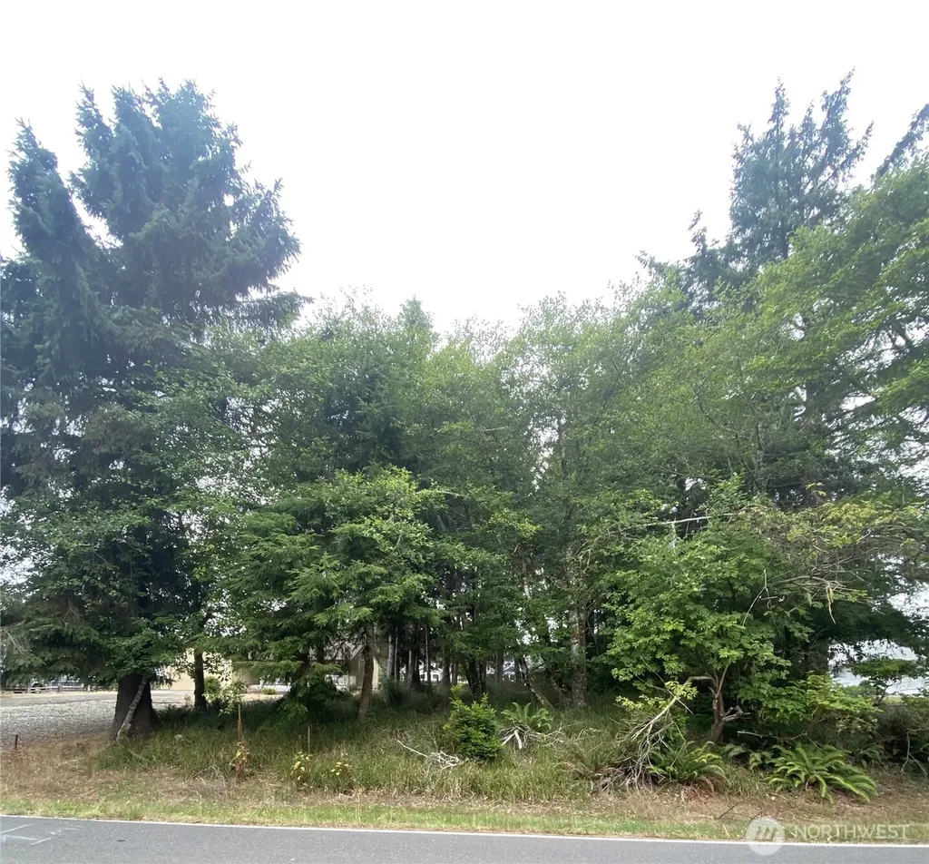 135 Duck Lake Drive NE Ocean Shores WA 98569