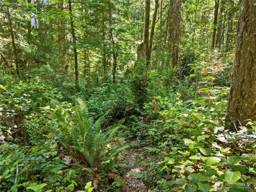 370 N Mount Jupiter Drive Hoodsport WA 98548