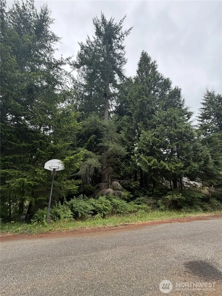141 SE Azalea Place Shelton WA 98584
