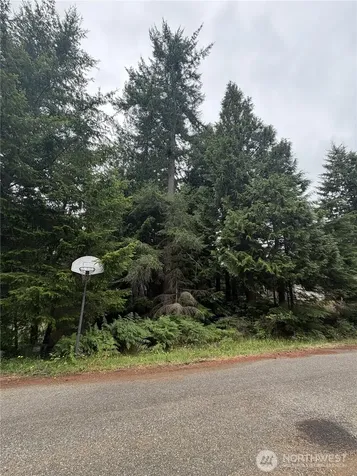 141 SE Azalea Place Shelton WA 98584