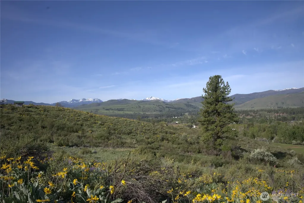 42 Prospect Road Winthrop WA 98862