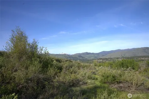 42 Prospect Road Winthrop WA 98862