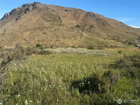 42 Prospect Road Winthrop WA 98862