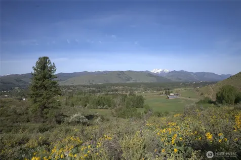 42 Prospect Road Winthrop WA 98862