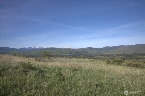 42 Prospect Road Winthrop WA 98862