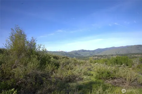42 Prospect Road Winthrop WA 98862