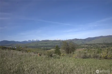 42 Prospect Road Winthrop WA 98862