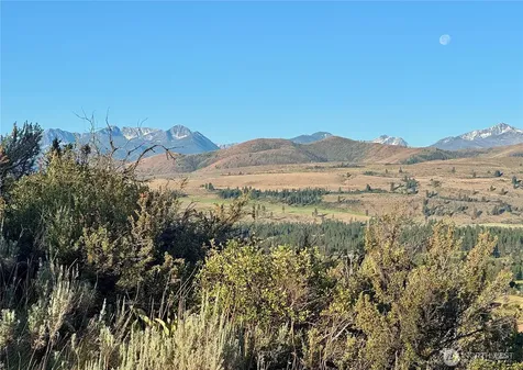 42 Prospect Road Winthrop WA 98862
