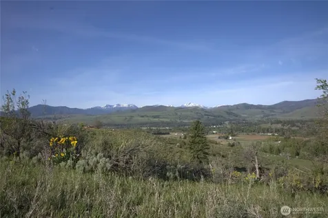 42 Prospect Road Winthrop WA 98862