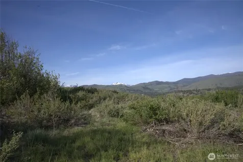 42 Prospect Road Winthrop WA 98862