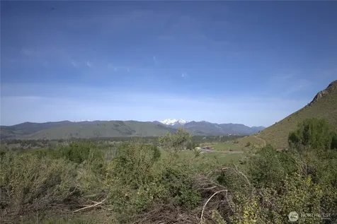 42 Prospect Road Winthrop WA 98862