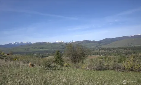 42 Prospect Road Winthrop WA 98862
