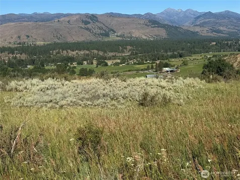 42 Prospect Road Winthrop WA 98862