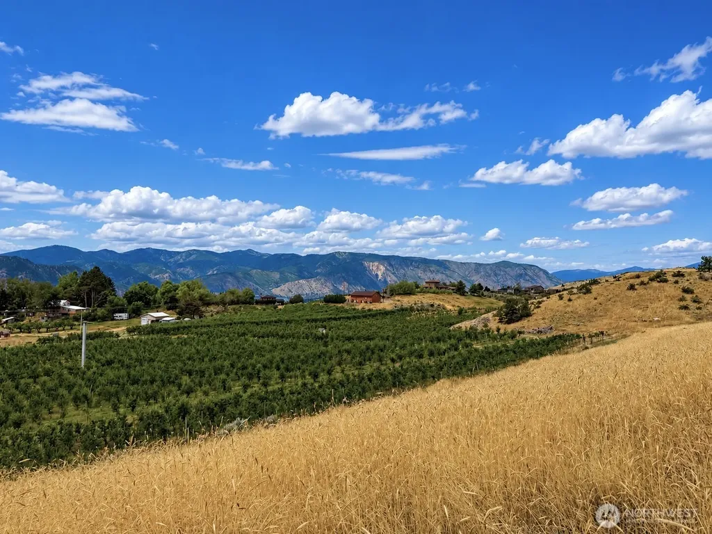 0 Boyd Road Chelan WA 98816
