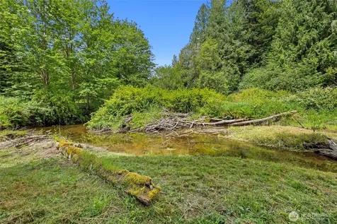 53665 White Falls Court Concrete WA 98237