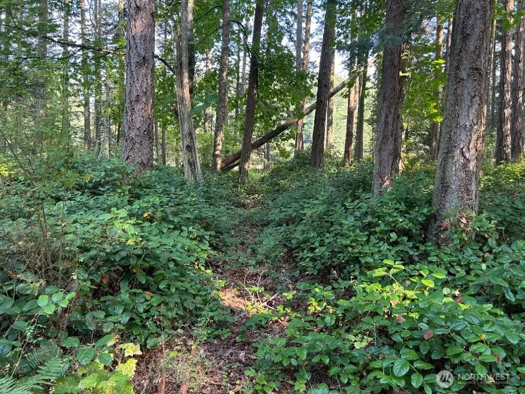 135 Chinook Way Lopez Island WA 98221