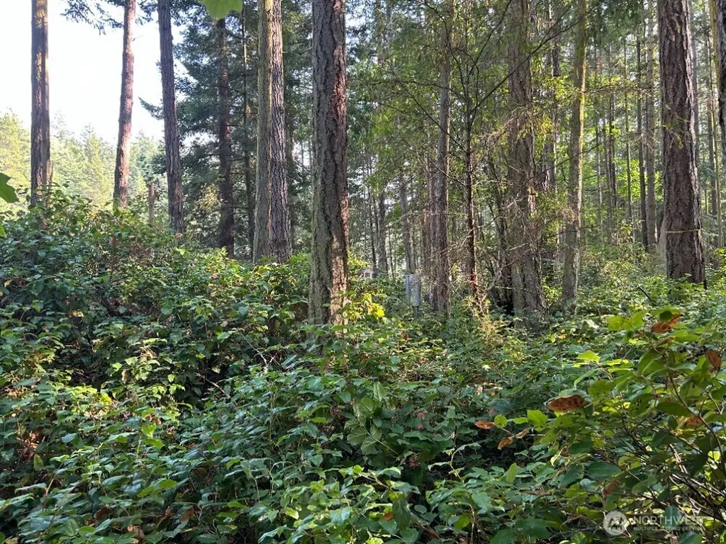 135 Chinook Way Lopez Island WA 98221