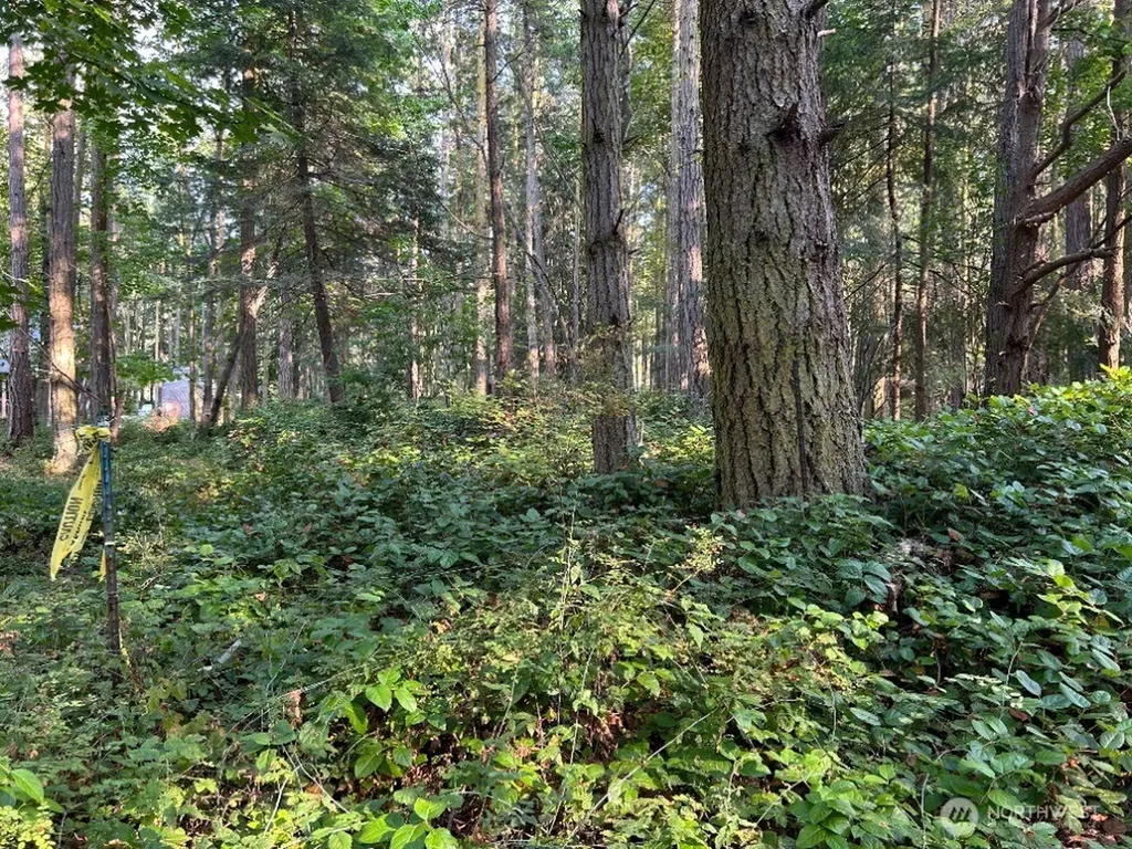 135 Chinook Way Lopez Island WA 98221