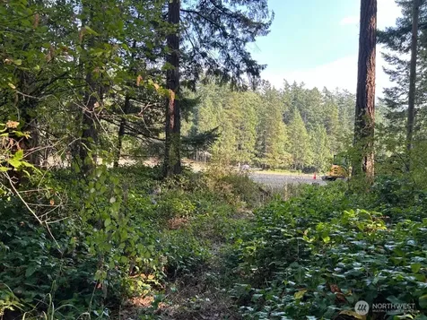 135 Chinook Way Lopez Island WA 98221