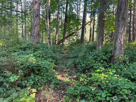 135 Chinook Way Lopez Island WA 98221
