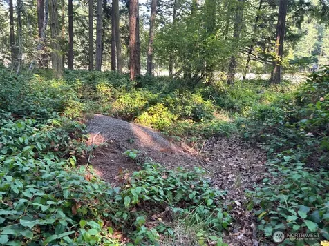 135 Chinook Way Lopez Island WA 98221