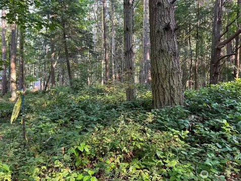 135 Chinook Way Lopez Island WA 98221
