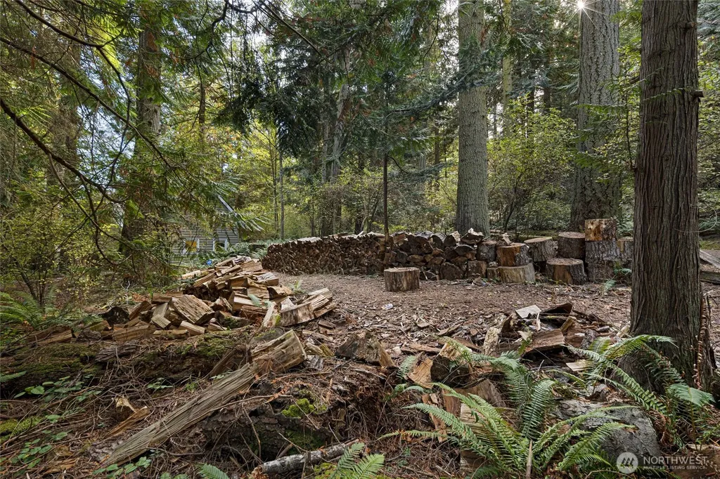 45 Stony Point Friday Harbor WA 98250