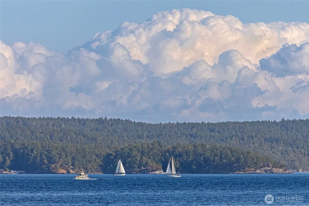 45 Stony Point Friday Harbor WA 98250