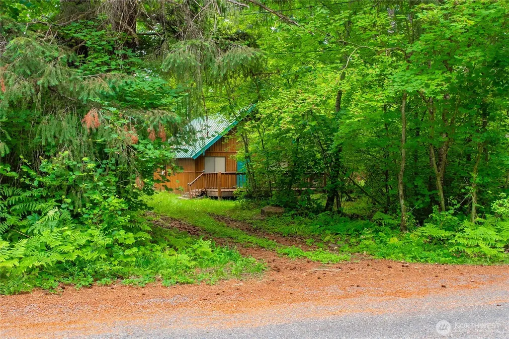 146 Mount Rainier Drive Packwood WA 98361