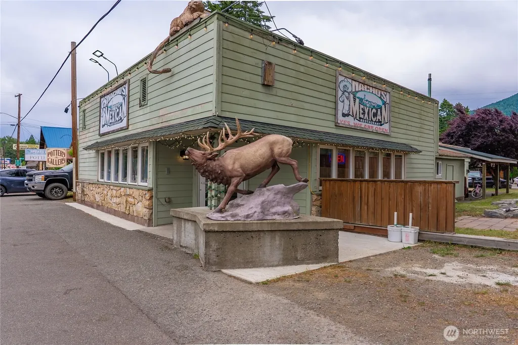 146 Mount Rainier Drive Packwood WA 98361