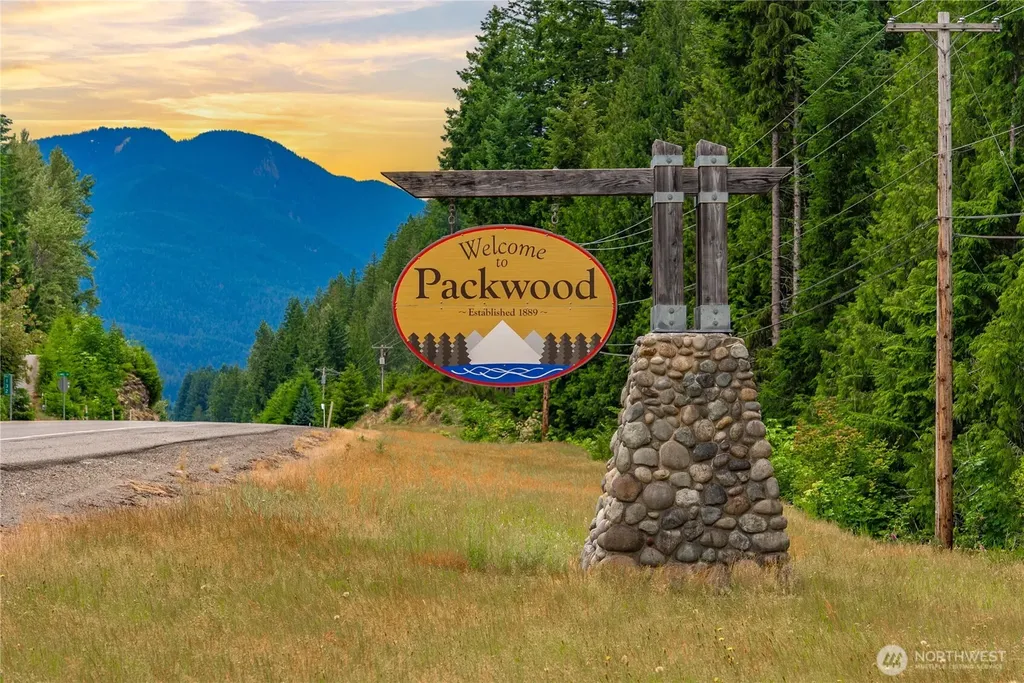 146 Mount Rainier Drive Packwood WA 98361