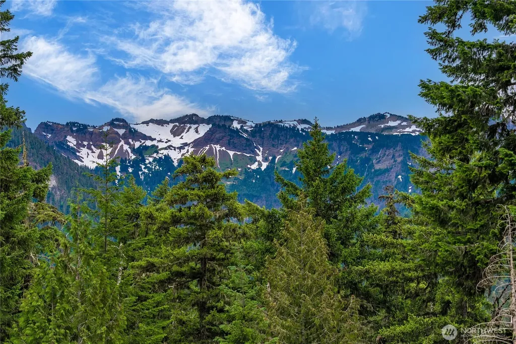 146 Mount Rainier Drive Packwood WA 98361